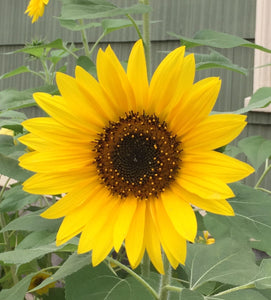 Building Confidence and Assertiveness
